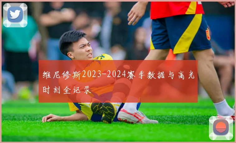 维尼修斯2023-2024赛季数据与高光时刻全记录