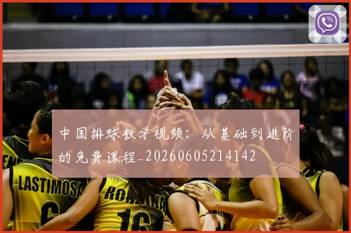 中国排球教学视频:从基础到进阶的免费课程_20260605214142